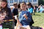 img_3060_small.jpg